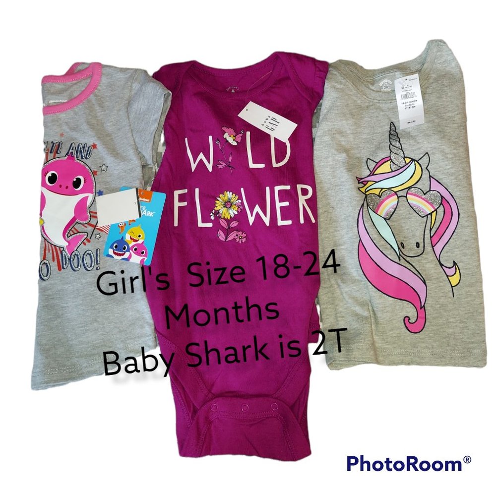 Lot of 3 Girl's Clothes Onesie, Shirts Size 18-24 Months - Picture 2 of 2